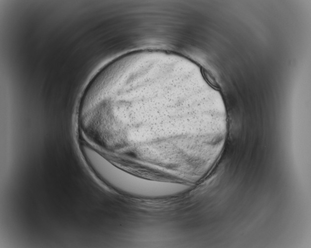 X0000094921383200712271524