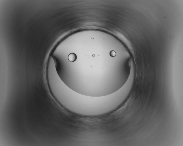 X0000094921384200712271524