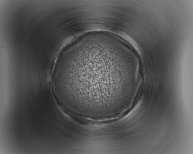 X0000094921385200712271524