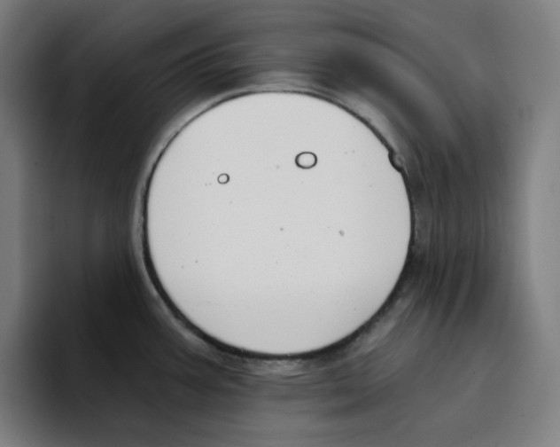 X0000094921387200712271524