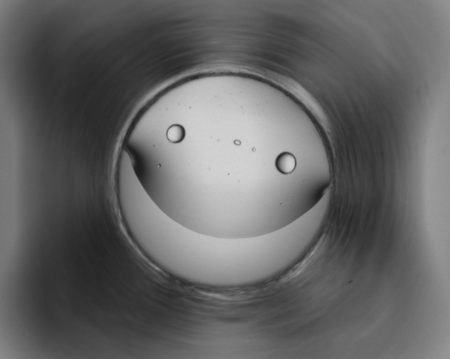 X0000094921388200712271524