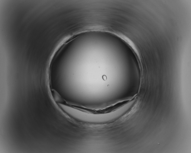 X0000094921389200712271524