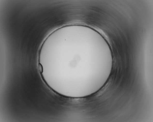 X0000094921390200712271524