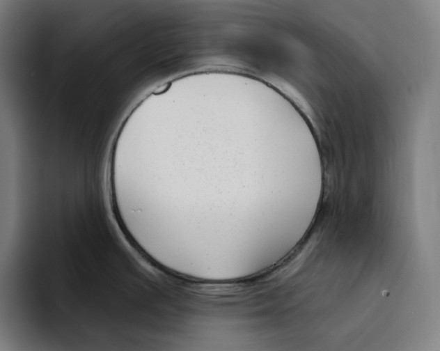X0000094921391200712271524