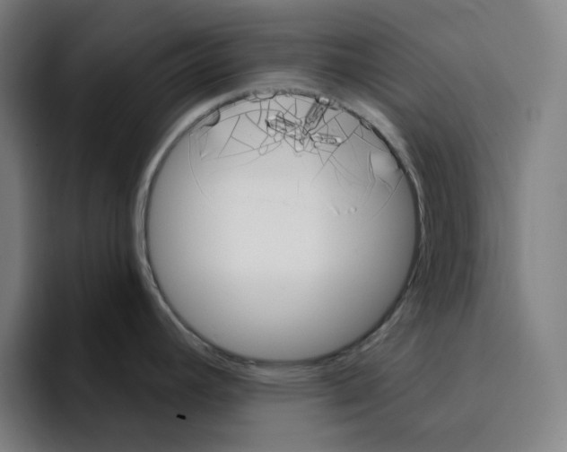 X0000094921392200712271524