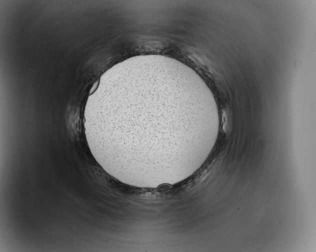 X0000094921395200712271523