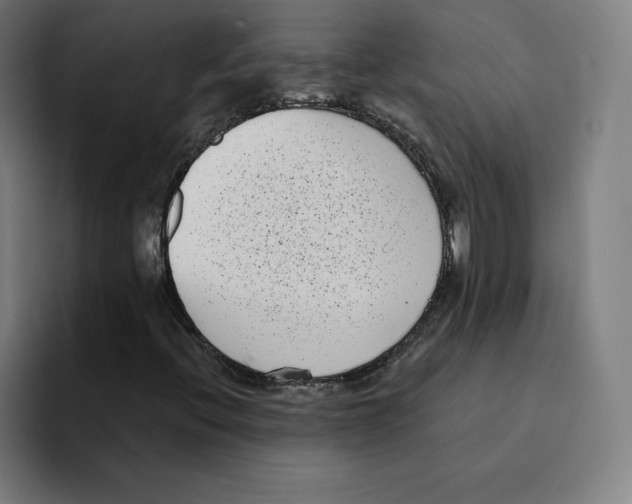 X0000094921396200712271523