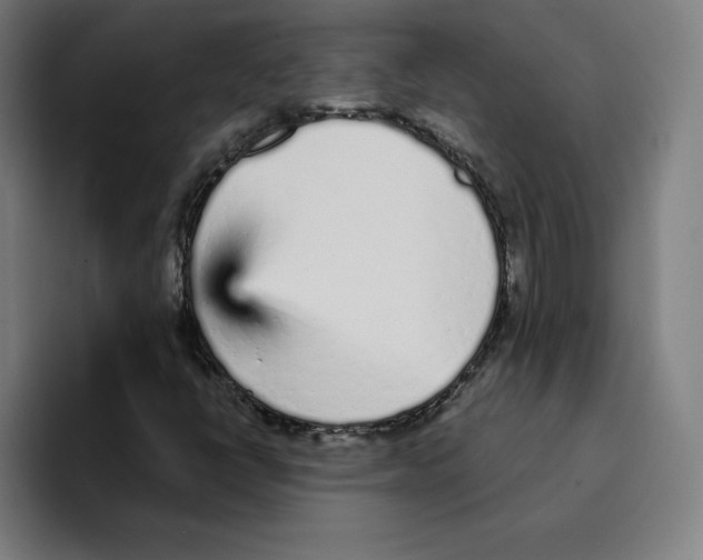 X0000094921398200712271523