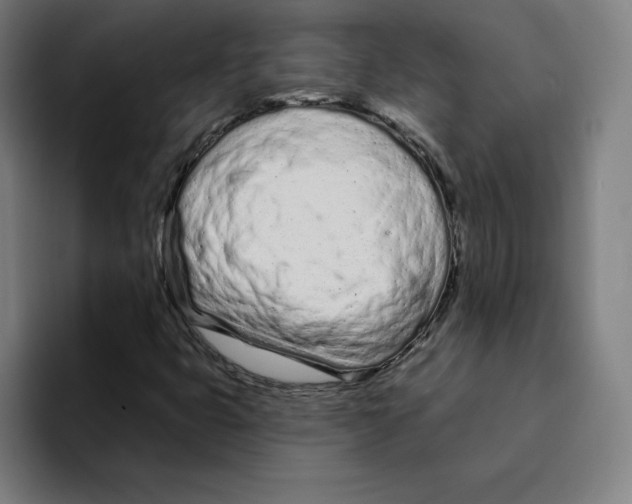 X0000094921399200712271523