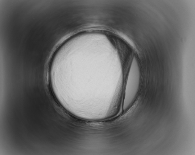 X0000094921413200712271523