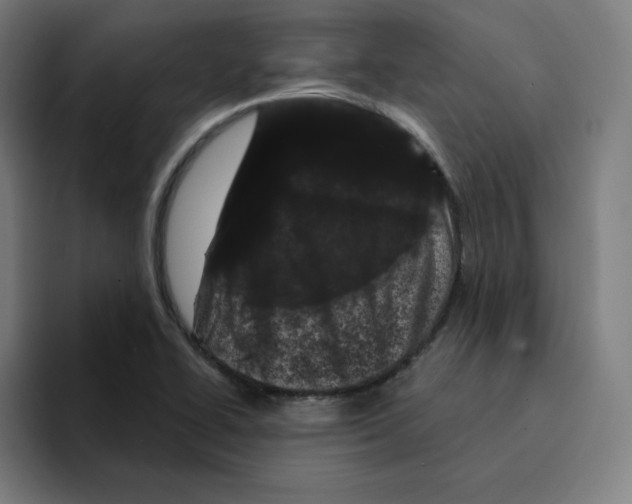 X0000094921414200712271523