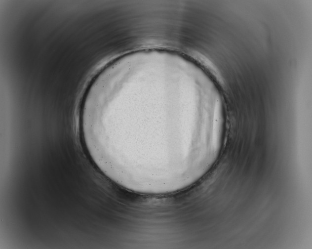 X0000094921419200712271523