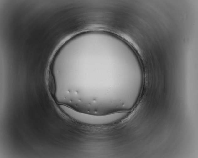 X0000094921421200712271523