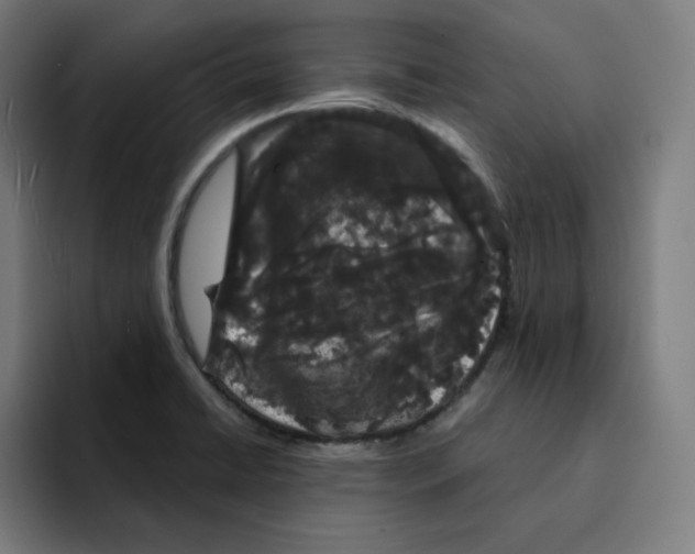 X0000094921422200712271523