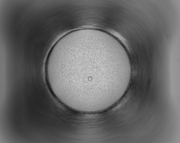 X0000094921423200712271523