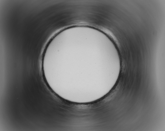X0000094921424200712271523