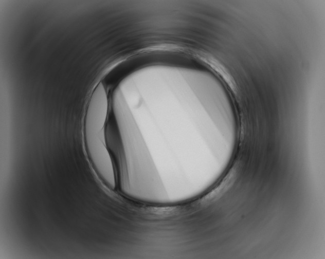 X0000094921425200712271524