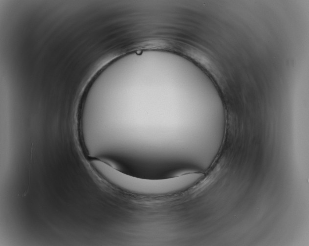 X0000094921426200712271524