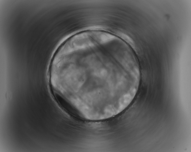X0000094921428200712271524