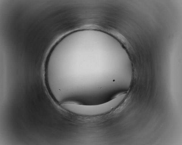 X0000094921430200712271524
