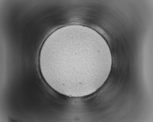 X0000094921431200712271524