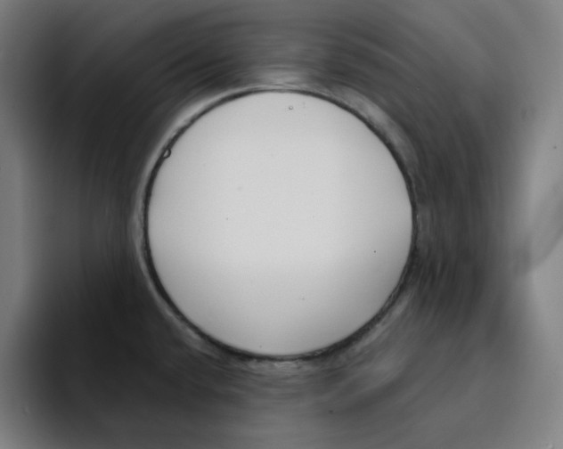 X0000094921432200712271524