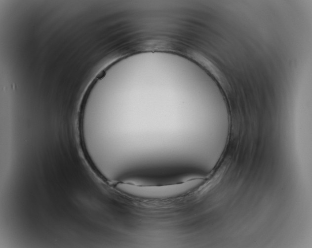 X0000094921434200712271524