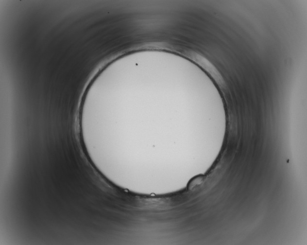 X0000094921436200712271524