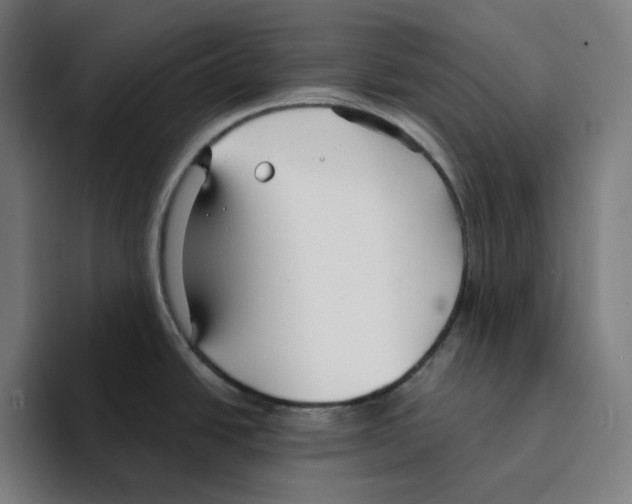 X0000094921438200712271524