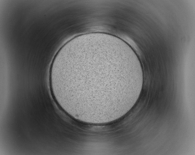 X0000094921439200712271524