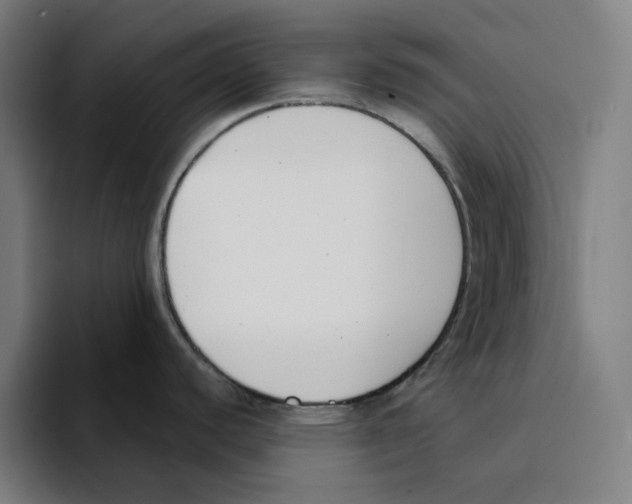 X0000094921440200712271524