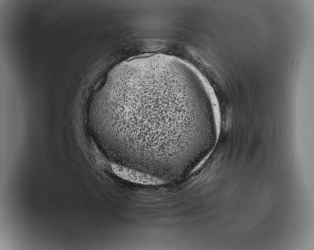 X0000094921441200712271523