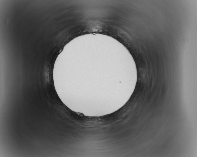 X0000094921442200712271523
