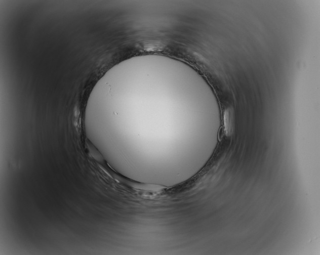X0000094921443200712271523
