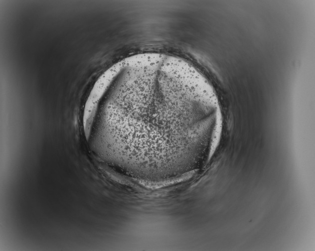 X0000094921445200712271523