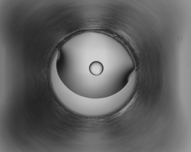 X0000094921449200712271523