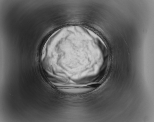 X0000094921450200712271523