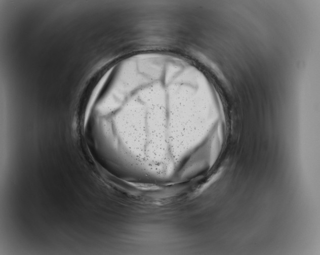 X0000094921453200712271523