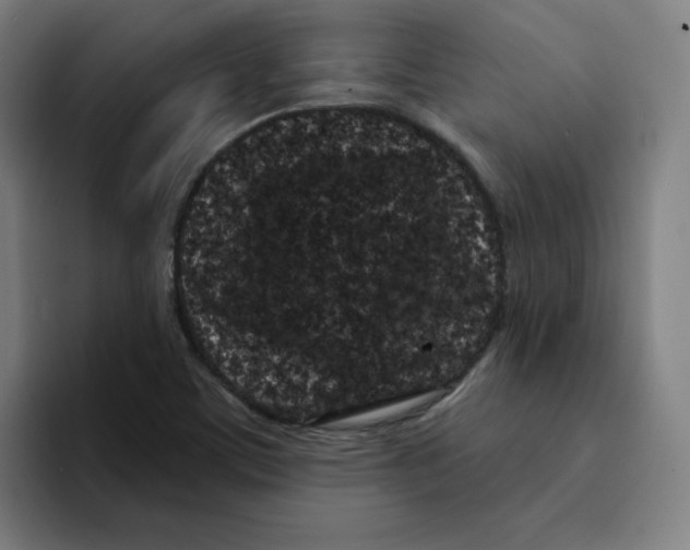 X0000094921459200712271523