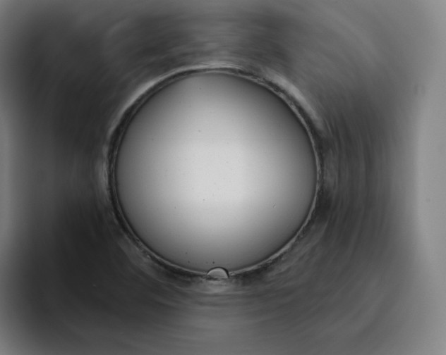 X0000094921460200712271523