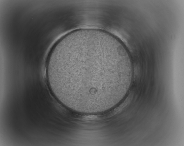 X0000094921462200712271523