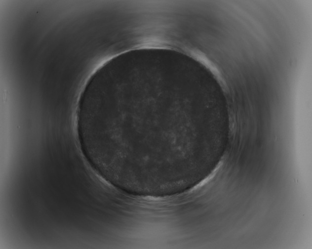 X0000094921463200712271523