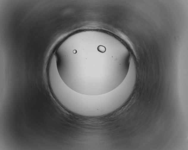 X0000094921464200712271523