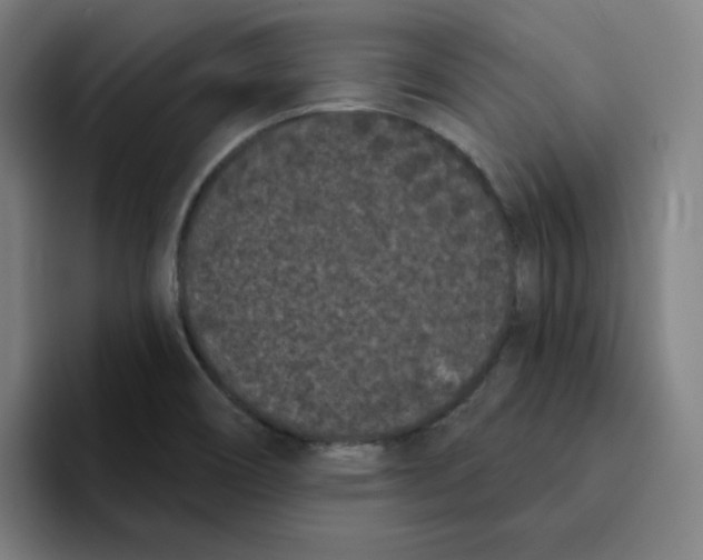 X0000094921466200712271523