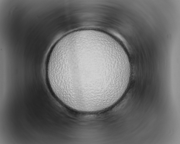 X0000094921467200712271523