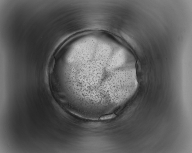 X0000094921468200712271523