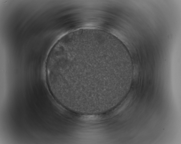 X0000094921474200712271523