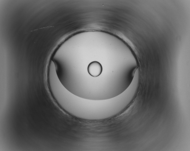 X0000094921477200712271523