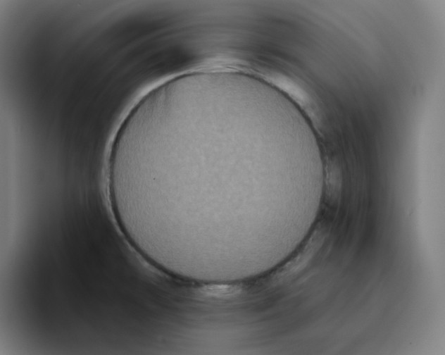 X0000094921478200712271523