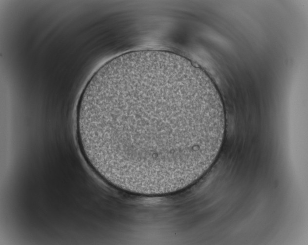 X0000094921479200712271523